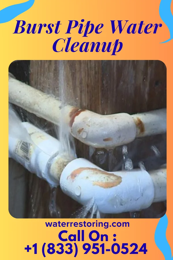 Burst Pipe Water Cleanup in Neosho Falls, KS