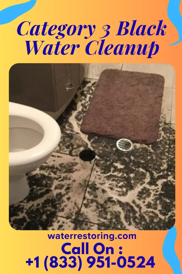 Category 3 Black Water Cleanup in Neosho Falls, KS