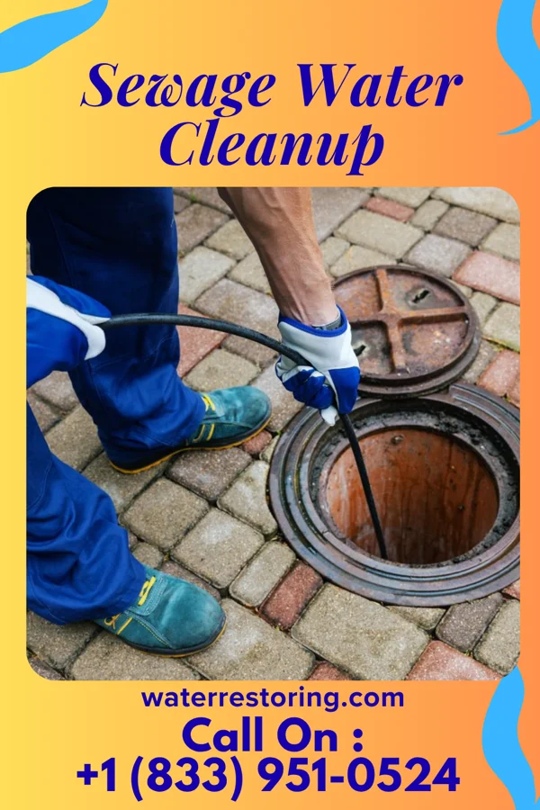 Sewage Water Cleanup in Neosho Falls, KS