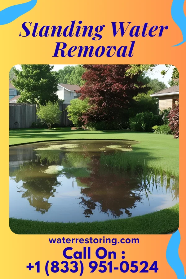Standing Water Removal in Neosho Falls, KS